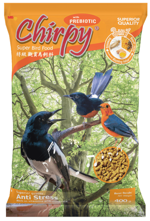 Chirpy 3in1