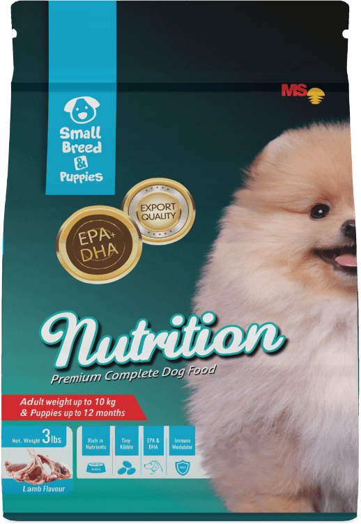 nutrition puppies