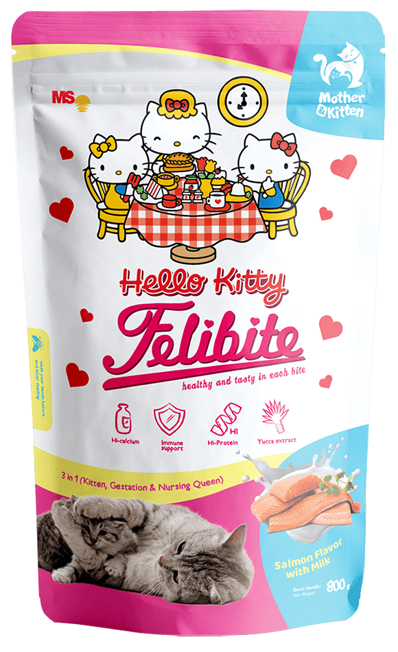 felibite kitten